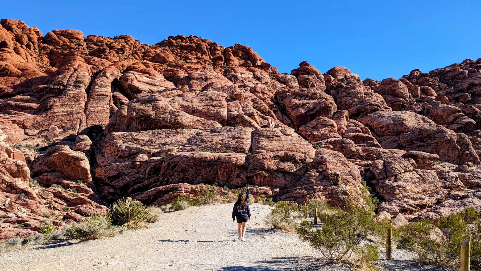 Désert du Nevada: Red Rock Canyon